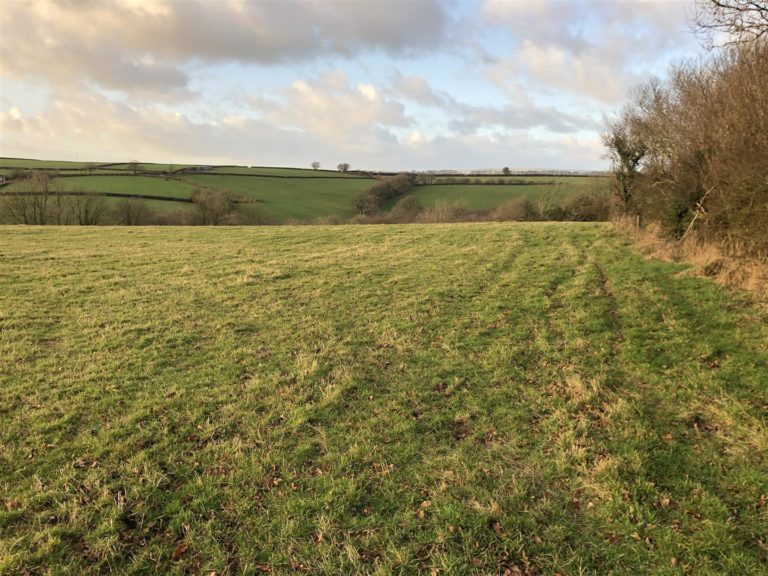 Gently Sloping Pasture Land Nr Knowstone, Devon. Nancekivell & Co Ltd