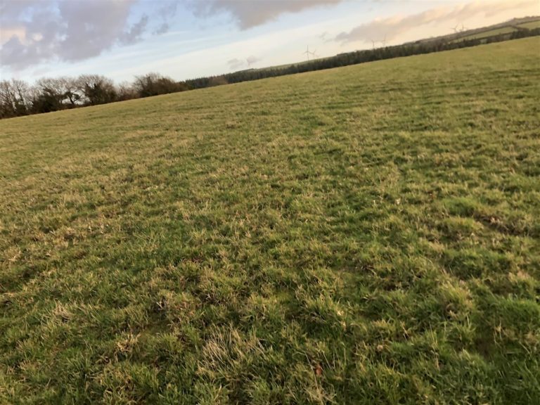 Gently Sloping Pasture Land Nr Knowstone, Devon. Nancekivell & Co Ltd