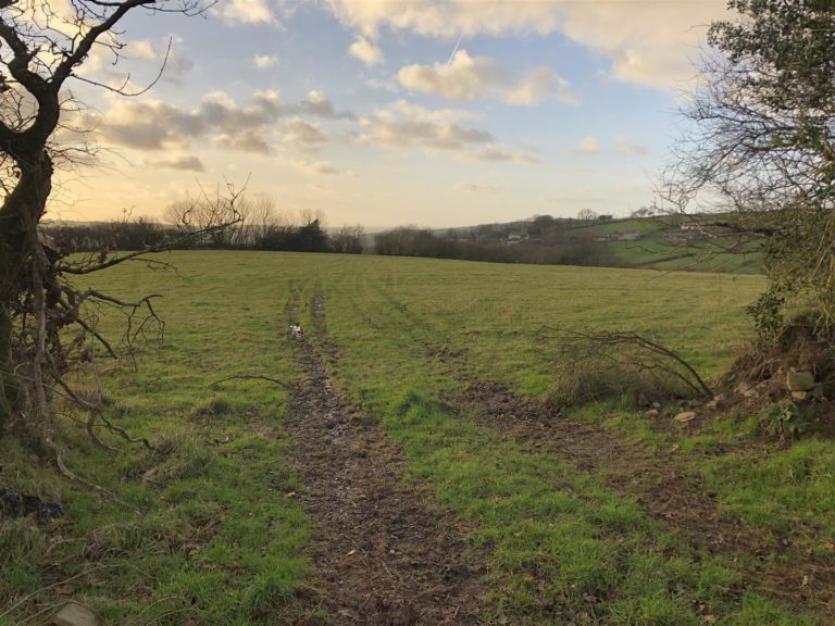 Gently Sloping Pasture Land Nr Knowstone, Devon. Nancekivell & Co Ltd