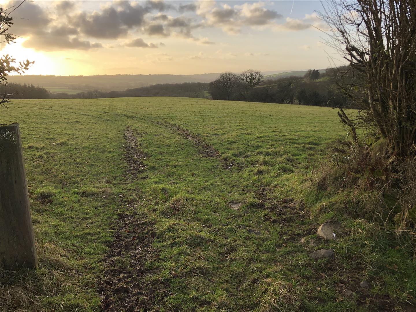 Gently Sloping Pasture Land Nr Knowstone, Devon. Nancekivell & Co Ltd