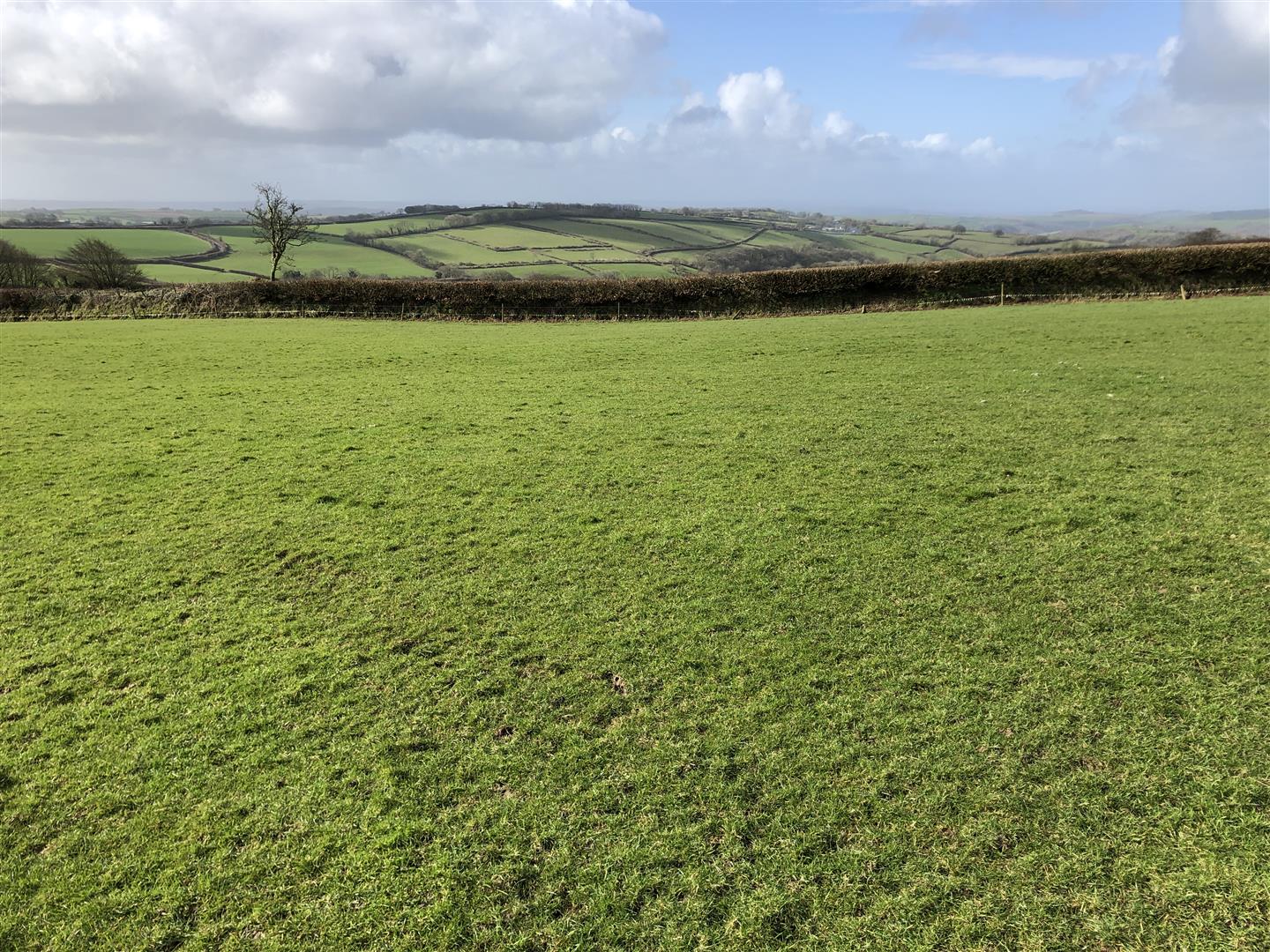 Bratton Fleming Agricultural Land 43 Acres Nancekivell & Co Ltd