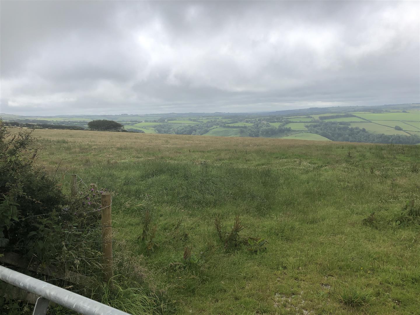 A 30 ACRE BLOCK OF HEALTHY SOUTH FACING PASTURE LAND LEVEL OR GENTLY