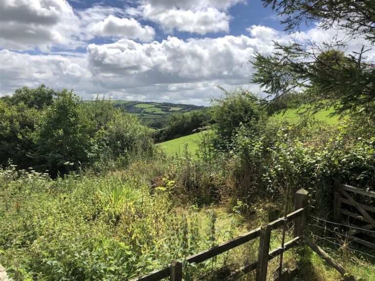 SITUATED NEAR TO THE NATIONAL TRUST ARLINGTON ESTATE AND THE EXMOOR