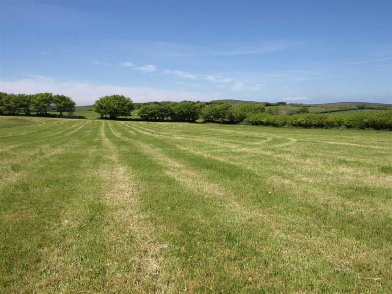 THIS 31 ACRE BLOCK OF FREEHOLD AGRICULTURAL LAND, RING FENCED WITH ROAD