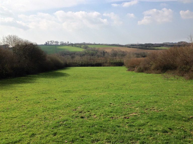 what is permanent pasture land what is permanent pasture land