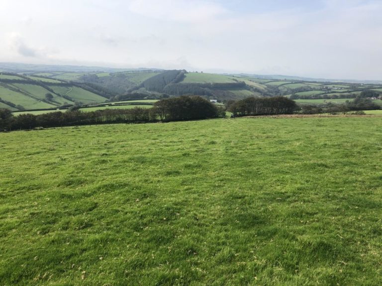 A HEALTHY BLOCK OF 118 Ac FREEHOLD AGRICULTURAL LAND SET INSIDE THE