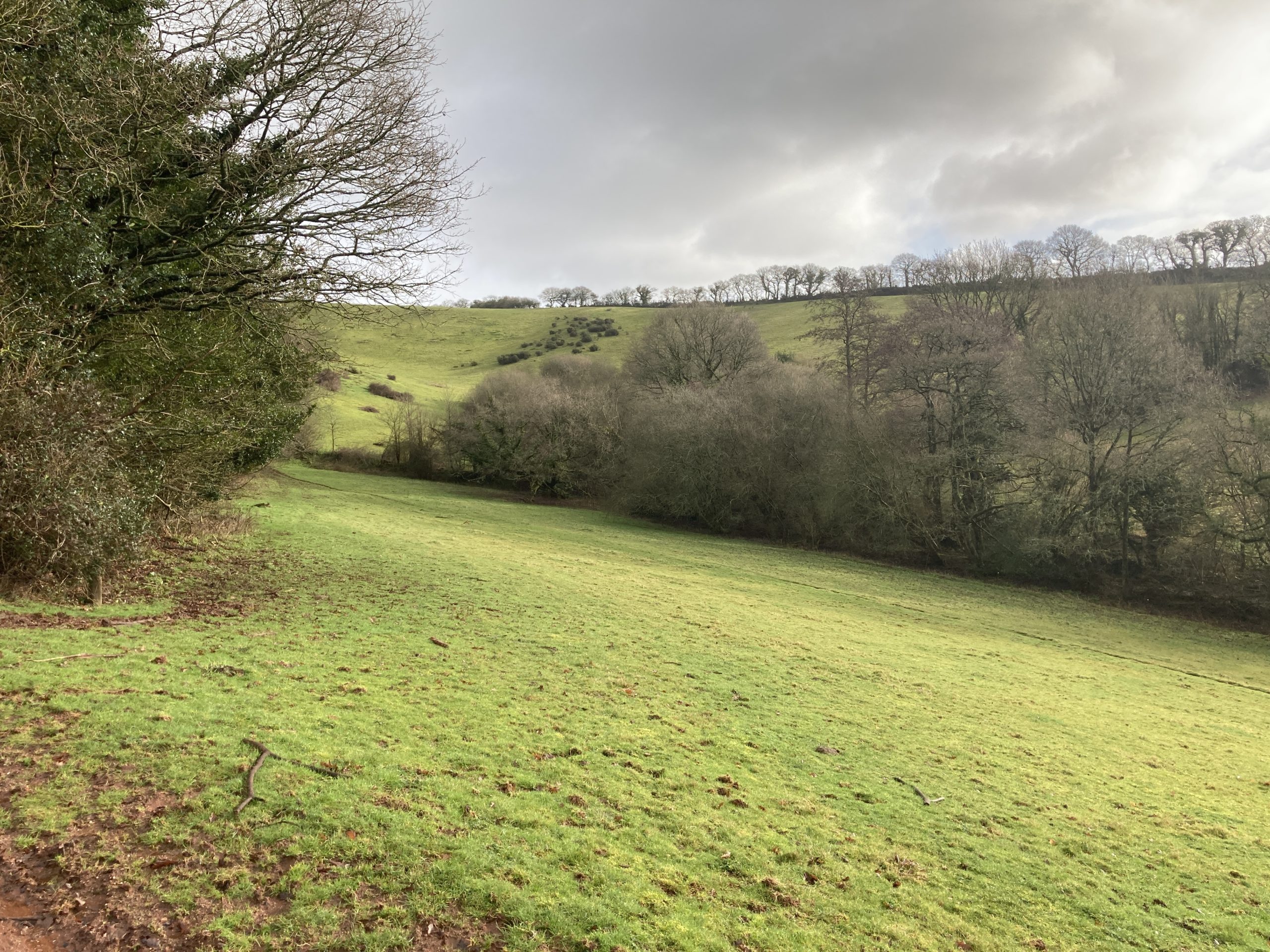 SITUATED JUST 12 MILES NORTH OF EXETER THIS IS A BLOCK OF 47.5 ACRES OF