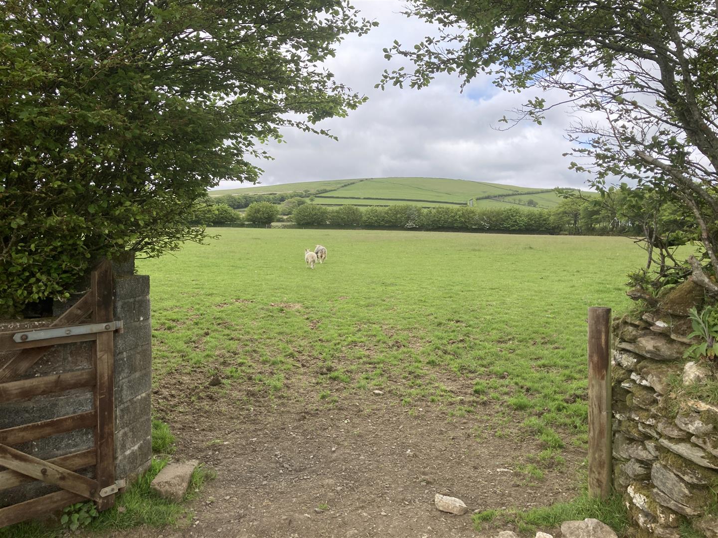 SITUATED JUST INSIDE THE EXMOOR NATIONAL PARK THIS IS A 75 ACRE BLOCK