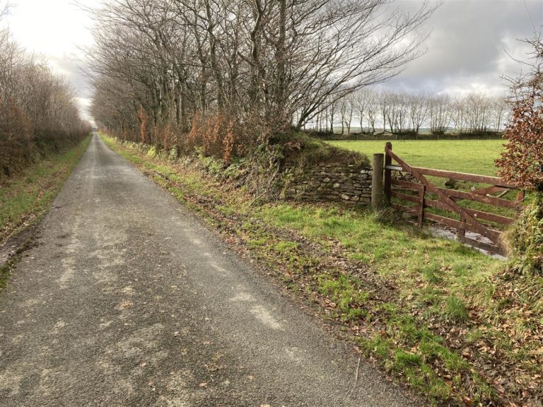 SITUATED JUST INSIDE THE EXMOOR NATIONAL PARK THIS IS A 75 ACRE BLOCK