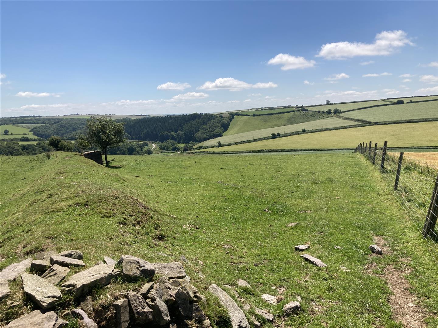 AN ATTRACTIVE BLOCK OF AGRICULTURAL PASTURE LAND, EXTENDING TO 44.67