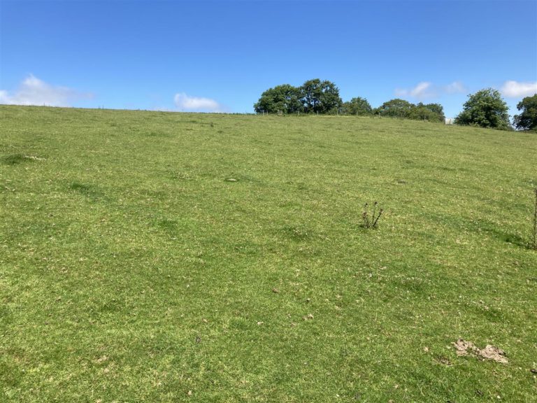 AN ATTRACTIVE BLOCK OF AGRICULTURAL PASTURE LAND, EXTENDING TO 44.67