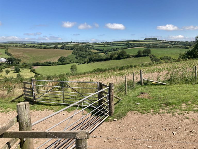 AN ATTRACTIVE BLOCK OF AGRICULTURAL PASTURE LAND, EXTENDING TO 44.67 ACRES WITH LANE ACCESS AN ATTRACTIVE BLOCK OF AGRICULTURAL PASTURE LAND, EXTENDING TO 44.67 ACRES WITH LANE ACCESS