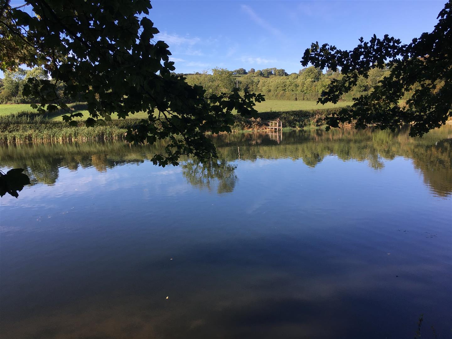 THIS IS AN OPPORTUNITY TO PURCHASE JUST OVER ONE THIRD OF AN ACRE CLOSE