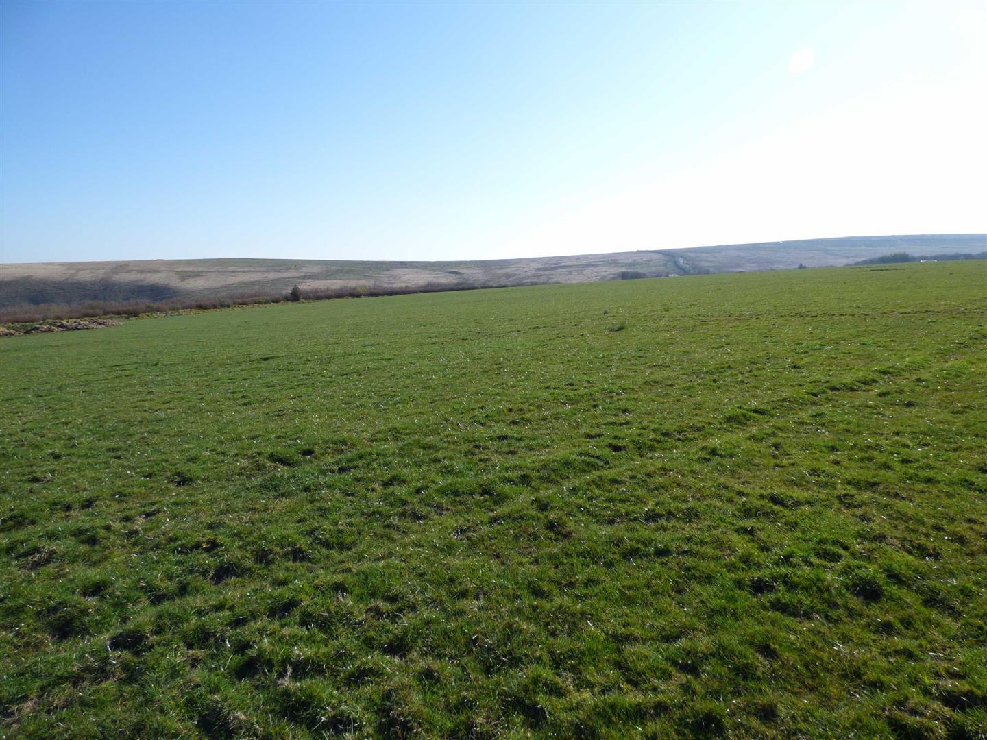 A RARE OPPORTUNITY TO PURCHASE 285 ACRES OF UPLAND GRAZING SET IN THE