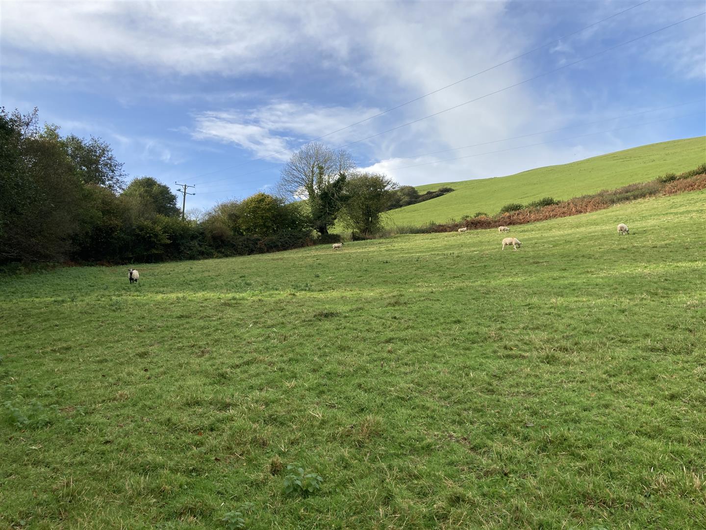 A SHELTERED 6.8 ACRE BLOCK OF PERMANENT PASTURE LOCATED IN THE PEACEFUL