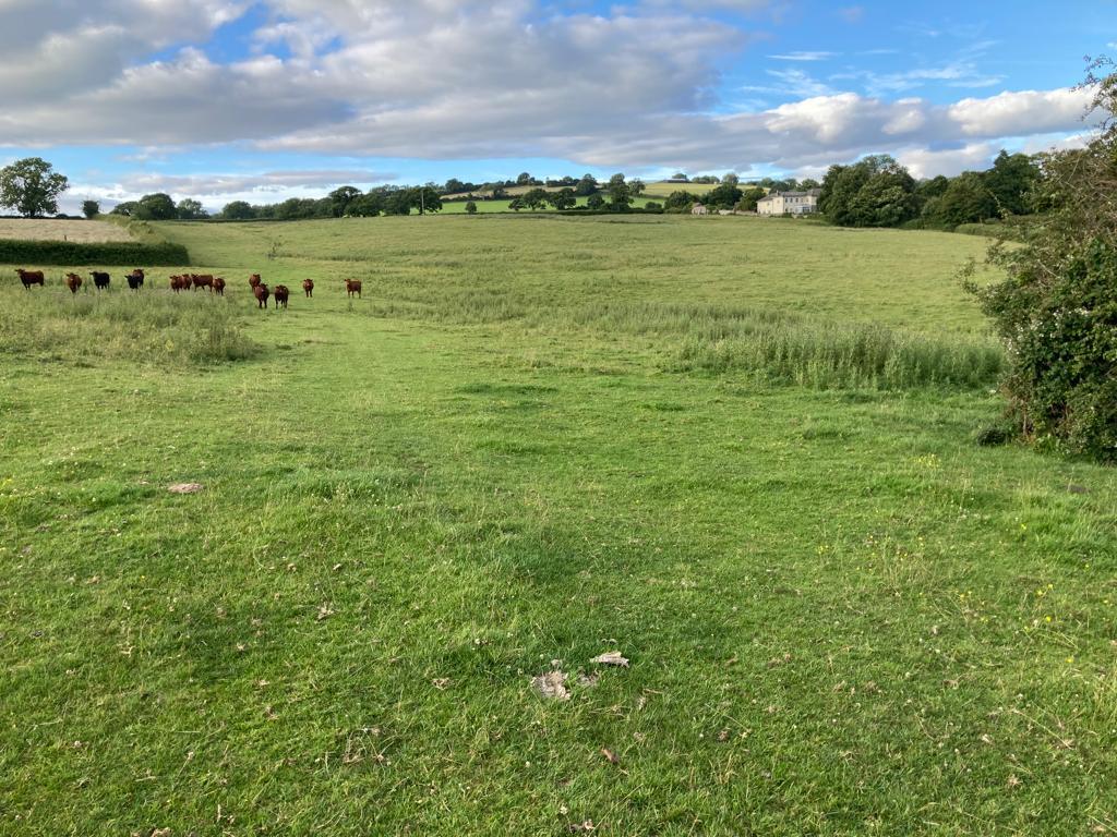 FOR SALE BY PUBLIC AUCTION 28TH MARCH 2023 A BLOCK OF 32.27 Est ACRES