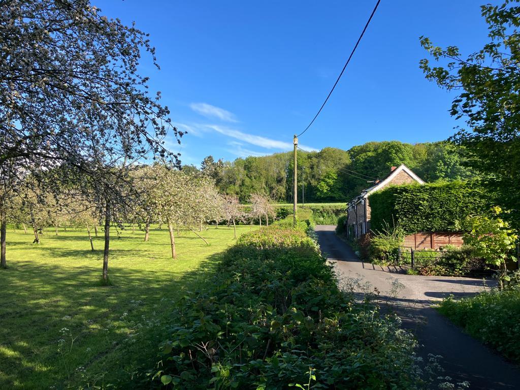 A RARE OPPORTUNITY TO PURCHASE A ONE ACRE TRADITIONAL ORCHARD SET ON
