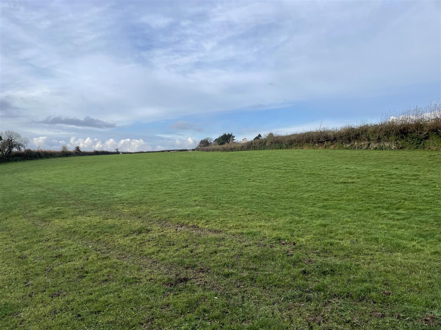 A LEVEL OR GENTLY SLOPING 4.2 ACRE PASTURE ENCLOSURE WITH DIRECT